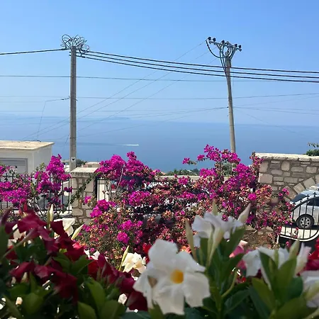 Hotel Luna *